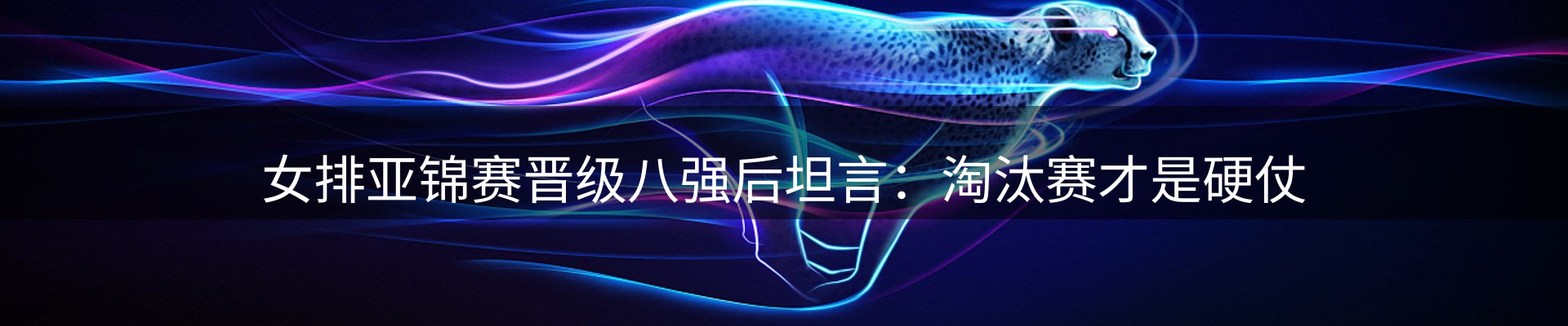 每日精选