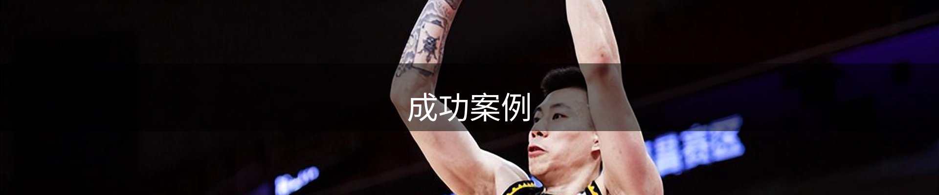 成功案例